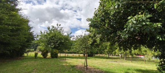 Дом с 1 спальней в Друэ, Франция № 302173 17