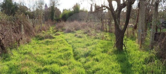 9 Schlafzimmer Haus in Castelo Branco, Portugal, Nr. 63149 10