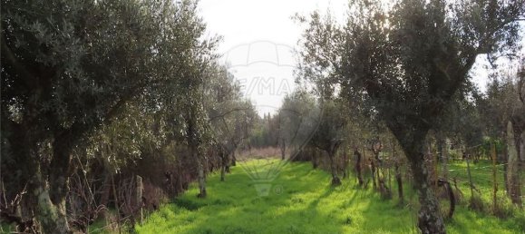 9 Schlafzimmer Haus in Castelo Branco, Portugal, Nr. 63149 9