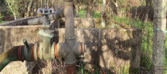 9 Schlafzimmer Haus in Castelo Branco, Portugal, Nr. 63149 2