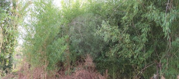 9 Schlafzimmer Haus in Castelo Branco, Portugal, Nr. 63149 15