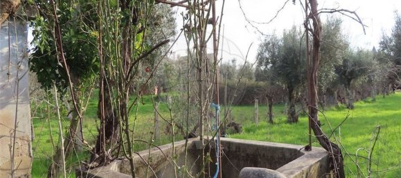 9 Schlafzimmer Haus in Castelo Branco, Portugal, Nr. 63149 4