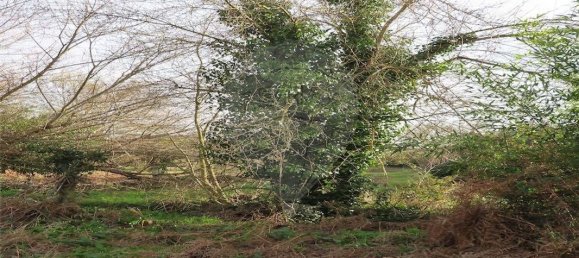 9 Schlafzimmer Haus in Castelo Branco, Portugal, Nr. 63149 16