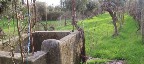 9 Schlafzimmer Haus in Castelo Branco, Portugal, Nr. 63149 3