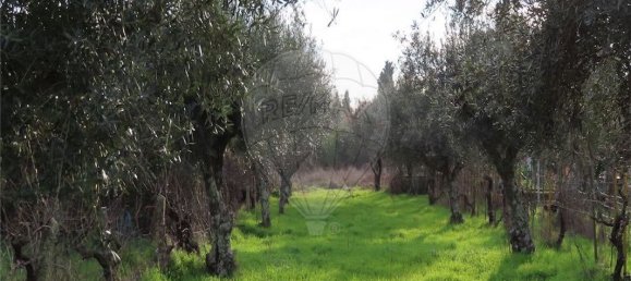 9 Schlafzimmer Haus in Castelo Branco, Portugal, Nr. 63149 6