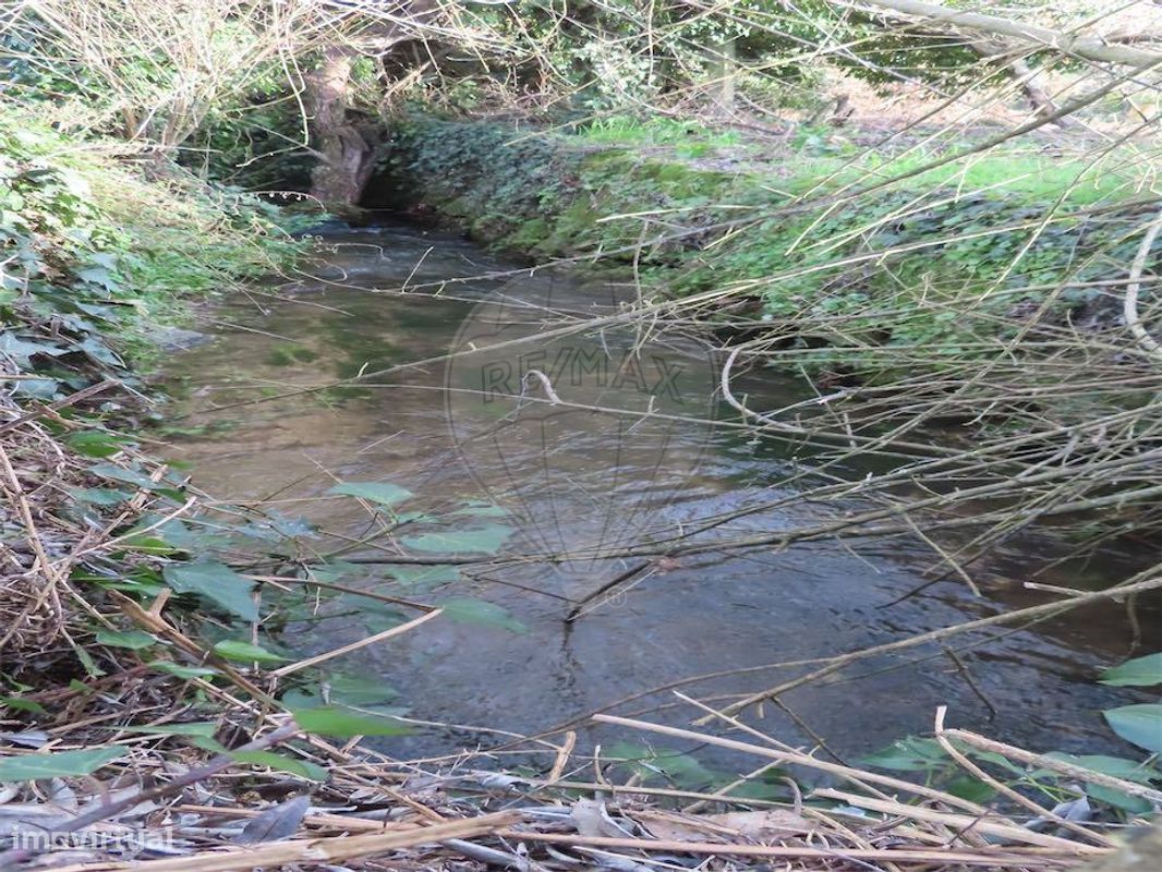 9 Schlafzimmer Haus in Castelo Branco, Portugal, Nr. 63149