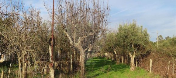 9 Schlafzimmer Haus in Castelo Branco, Portugal, Nr. 63149 14