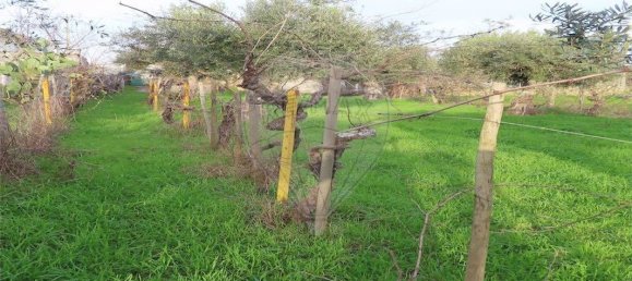 9 Schlafzimmer Haus in Castelo Branco, Portugal, Nr. 63149 23