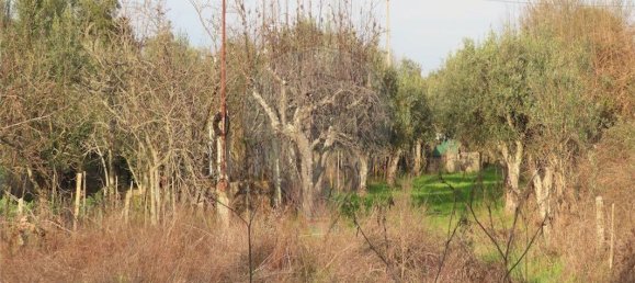 9 Schlafzimmer Haus in Castelo Branco, Portugal, Nr. 63149 19