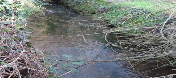 9 Schlafzimmer Haus in Castelo Branco, Portugal, Nr. 63149 18