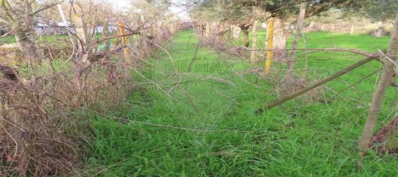 9 Schlafzimmer Haus in Castelo Branco, Portugal, Nr. 63149 22
