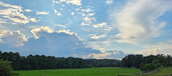 6 bedrooms Farm in Harburg, Germany No. 331375 39