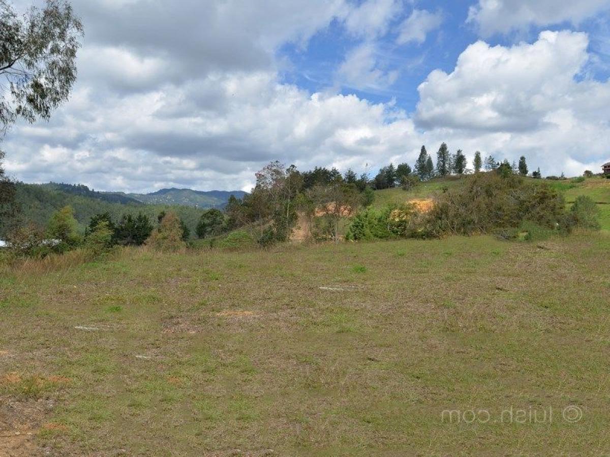  قطعة أرض في Antioquia, Colombia رقم 541