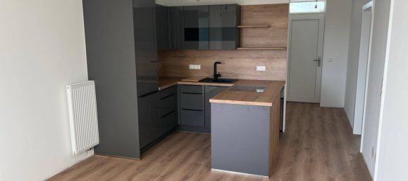 2 غرف نوم شقة في Furstenfeld, Austria رقم 89223 2