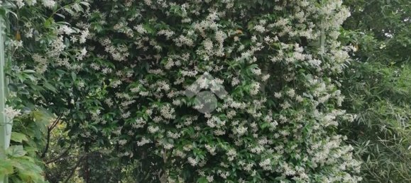 Villa de 4 habitaciónes en Sovico, Italy No. 155147 42