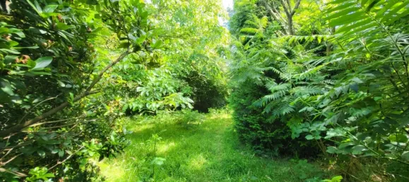 2 Schlafzimmer Haus in Dithmarschen, Germany, Nr. 31429 8