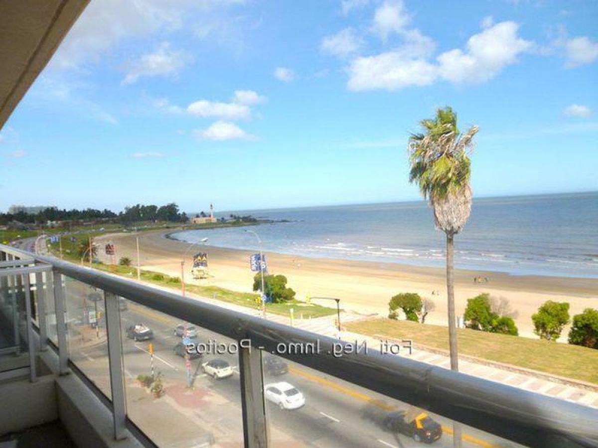 3 chambres Appartement à Montevideo, Uruguay No. 4990