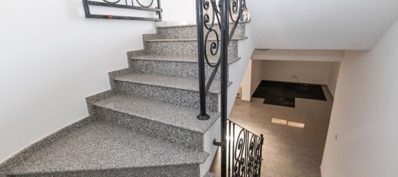 3 Schlafzimmer Villa in Ayia Napa, Cyprus, Nr. 23289 5