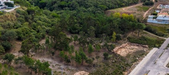 7470m² Land in Caldas da Rainha, Portugal No. 81434 14