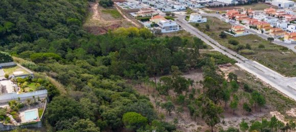 7470m² Land in Caldas da Rainha, Portugal No. 81434 15