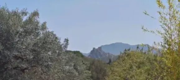 Casa T3 em Sax, Spain N.º 134617 18