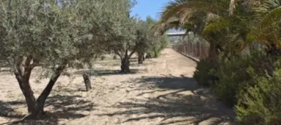 Casa T3 em Sax, Spain N.º 134617 31