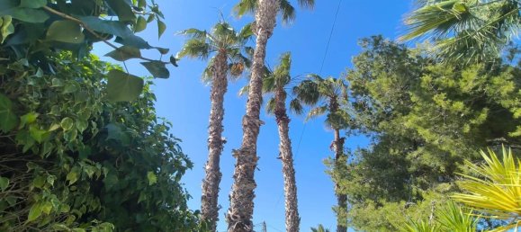 5 bedrooms Villa in Torrevieja, Spain No. 188375 6