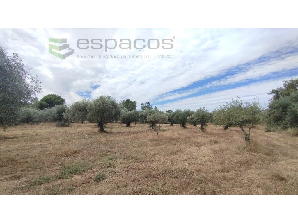 3200m² Land in Penamacor, Portugal No. 336185