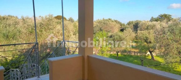 6 bedrooms Villa in Carovigno, Italy No. 175631 32