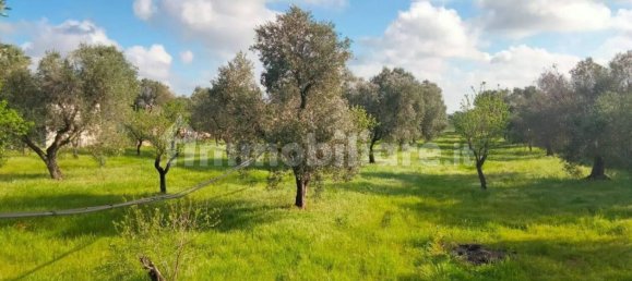 6 bedrooms Villa in Carovigno, Italy No. 175631 18