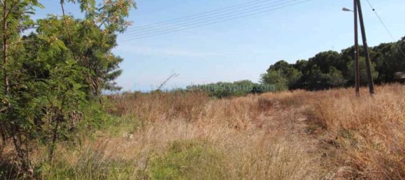 Villa in Deryneia, Cyprus No. 24091 2