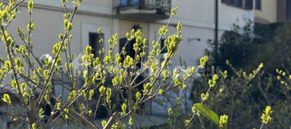 1 bedroom Apartment in Torrile, Italy No. 194357 88