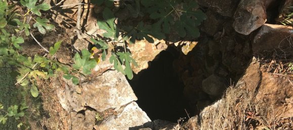 4غرفة منزل في Ceglie Messapica, Italy رقم 141499 26