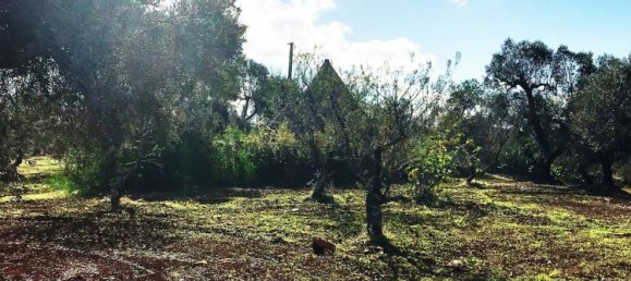 4غرفة منزل في Ceglie Messapica, Italy رقم 141499 13