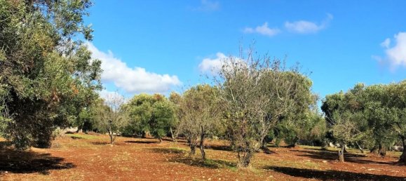 4غرفة منزل في Ceglie Messapica, Italy رقم 141499 6