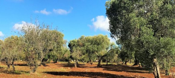 4غرفة منزل في Ceglie Messapica, Italy رقم 141499 21