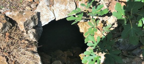 4غرفة منزل في Ceglie Messapica, Italy رقم 141499 33