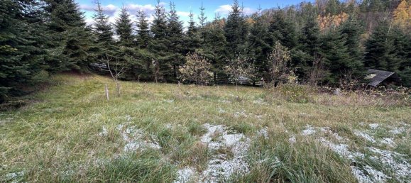  قطعة أرض في Wiesen, Austria رقم 57046 3