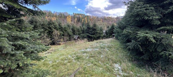  قطعة أرض في Wiesen, Austria رقم 57046 2