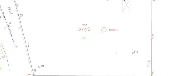  قطعة أرض في Wiesen, Austria رقم 57046 4