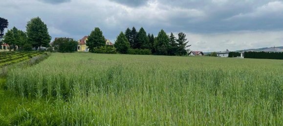  قطعة أرض في Pasching, Austria رقم 213613 2