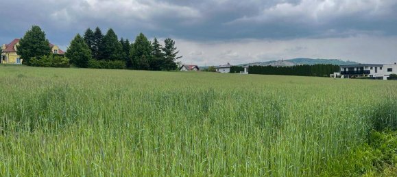  قطعة أرض في Pasching, Austria رقم 213613 3