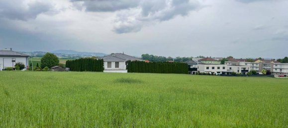  قطعة أرض في Pasching, Austria رقم 213613 4