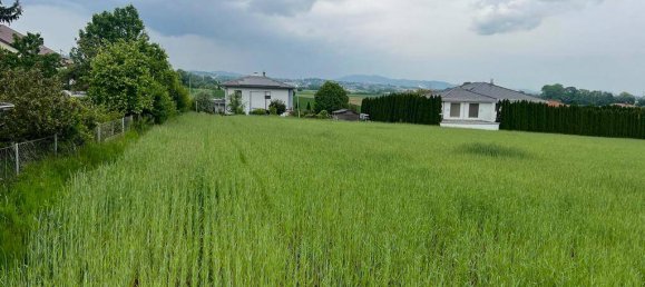  قطعة أرض في Pasching, Austria رقم 213613 5