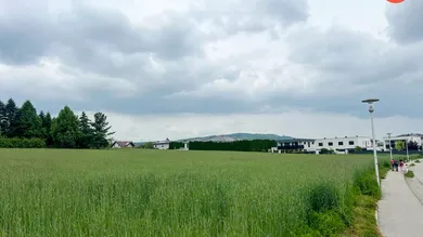  قطعة أرض في Pasching, Austria رقم 213613