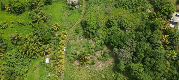 8778m² Hotel in Calibishie, Dominica No. 52 4