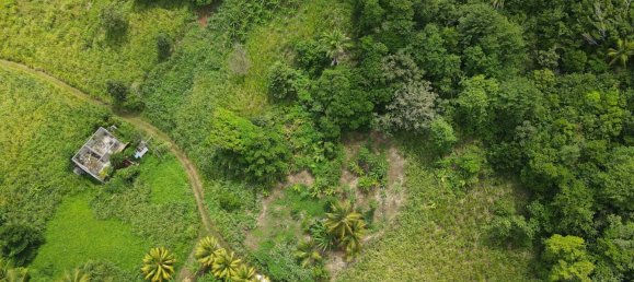 8778m² Hotel in Calibishie, Dominica No. 52 5