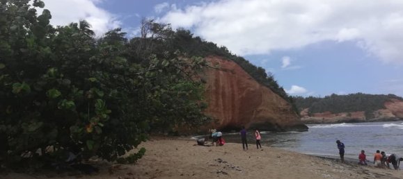 8778m² Hotel in Calibishie, Dominica No. 52 16