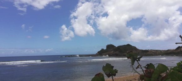 8778m² Hotel in Calibishie, Dominica No. 52 13