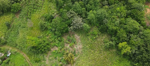 8778m² Hotel in Calibishie, Dominica No. 52 7